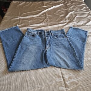 Joe's Jeans Blue Women's Jeans